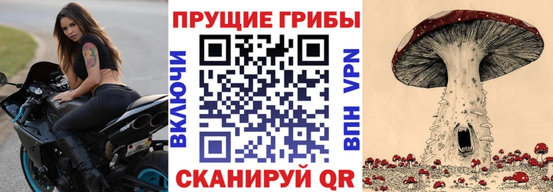 Псилоцибиновые грибы мухоморы  наркота  hydra ТОР  Курчалой 
